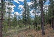 Open space in back of home | Truckee Golf Course Real Estate