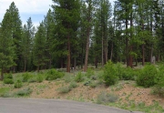 Gorgeous lot that backs to 115 acres of open space