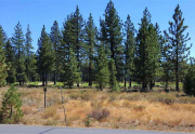 11654 Henness Road | Gray's Crossing Golf Course Homesite