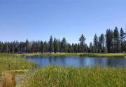 Pond at 14th Hole