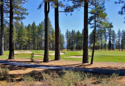 11654 Henness Road | Gray's Crossing Golf Course Homesite