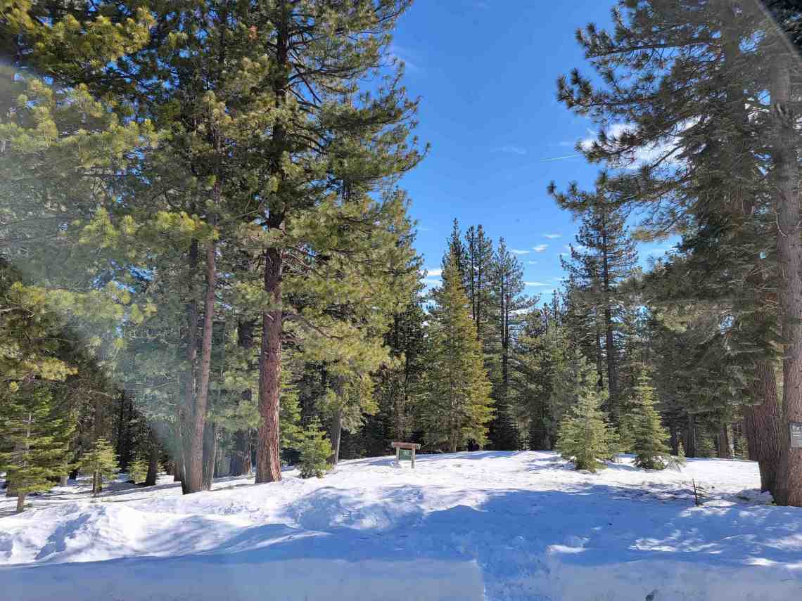 Sunny level lot | Truckee land for sale