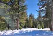 Sunny level lot | Truckee land for sale