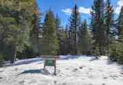 Pine Forest Homesite| 11853 Saddleback Dr.