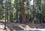 Tahoe City Land For Sale