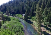 Sunny lot on the Truckee River