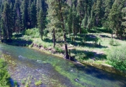 Truckee River Lot for sale