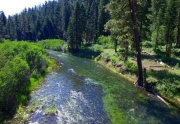 Truckee River Lot for sale