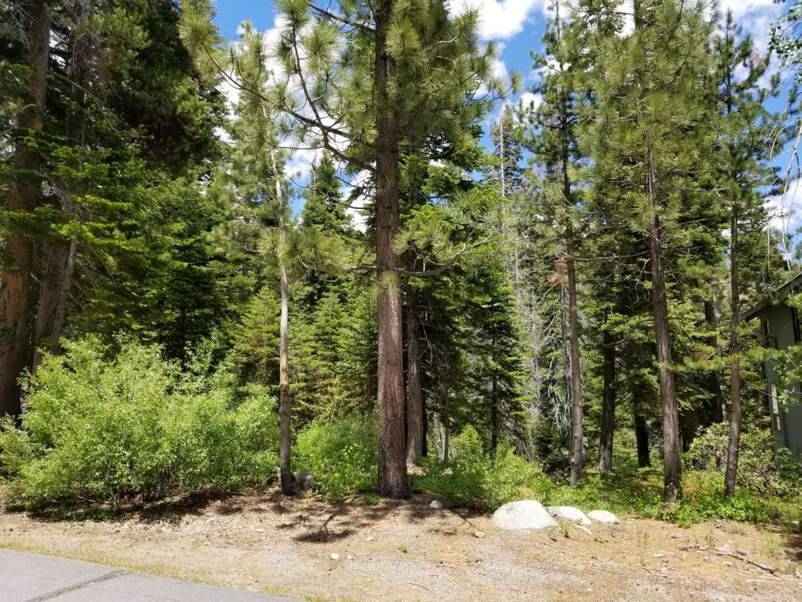 1368 Mineral Spring Trail - Alpine Meadows Vacant Lot for Sale