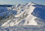 Alpine Meadows Ski Resort | Estelle Bowl