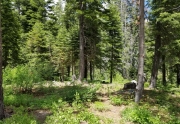 Level Lot in Alpine Meadows for Sale