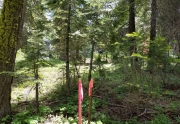 Vacant Land for sale with Plans in Alpine Meadows