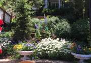 Summer landscaping | Donner Lake Lakefront