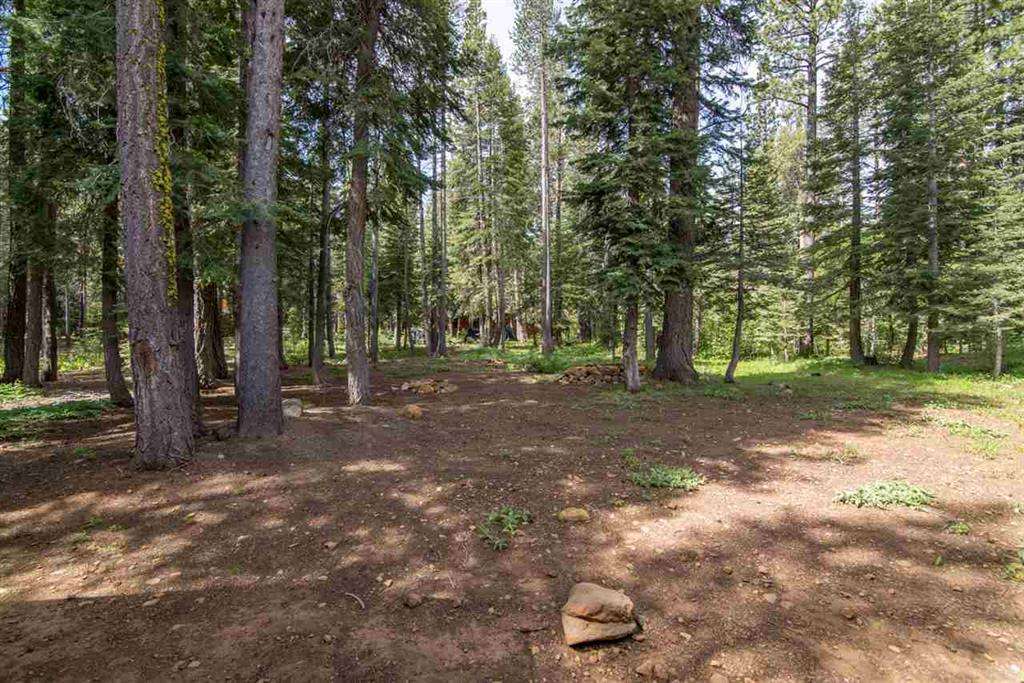 Real Estate in Truckee CA