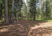 Real Estate in Truckee CA