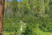 Beautiful trail on property | Truckee acreage property