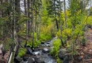 Juniper Creek, Truckee, CA Acreage Property