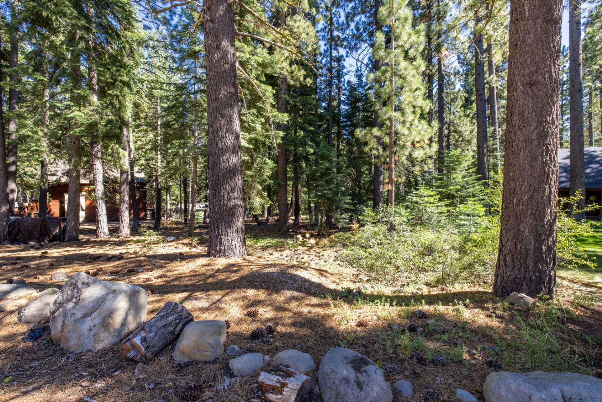 1-web-or-mls-335-Pineland-2