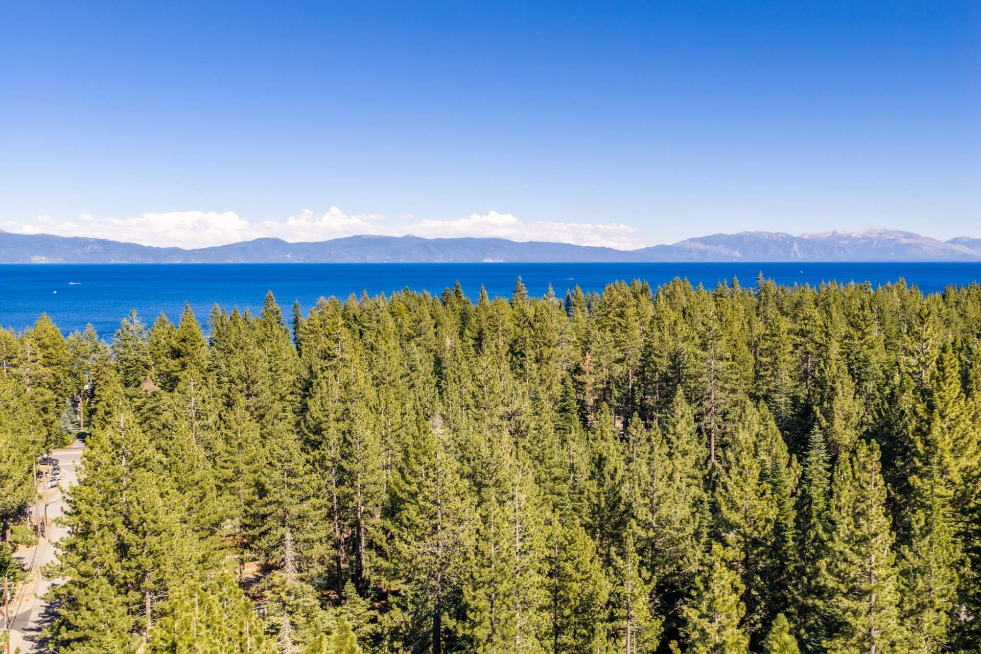 14-web-or-mls-335-Pineland-15