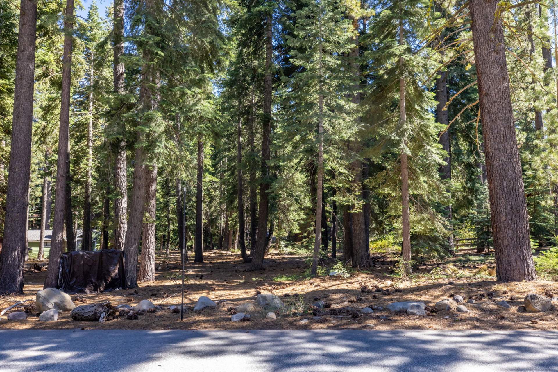 2-web-or-mls-335-Pineland-3
