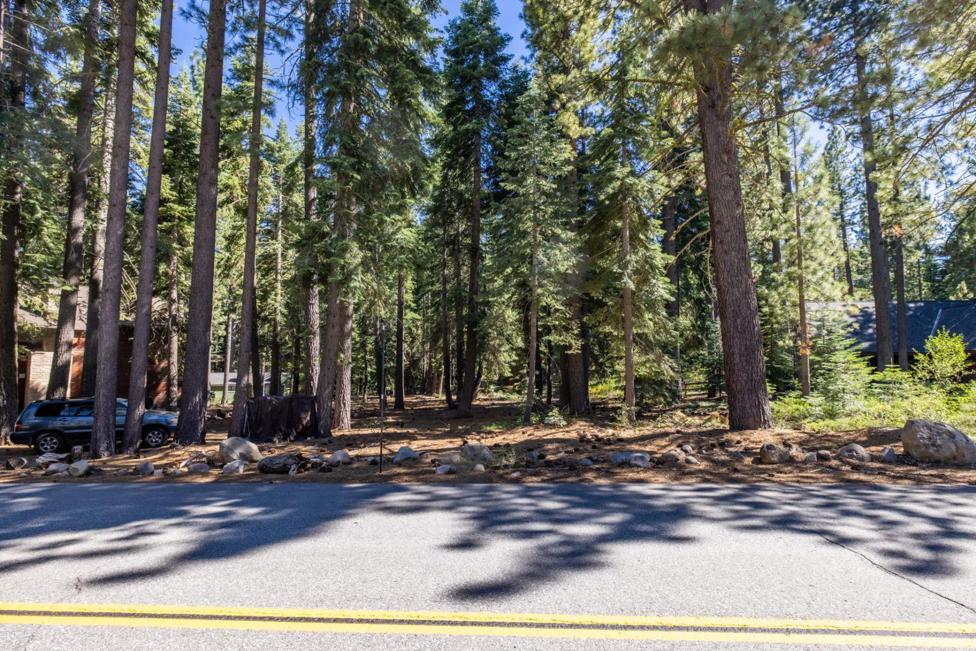 3-web-or-mls-335-Pineland-4