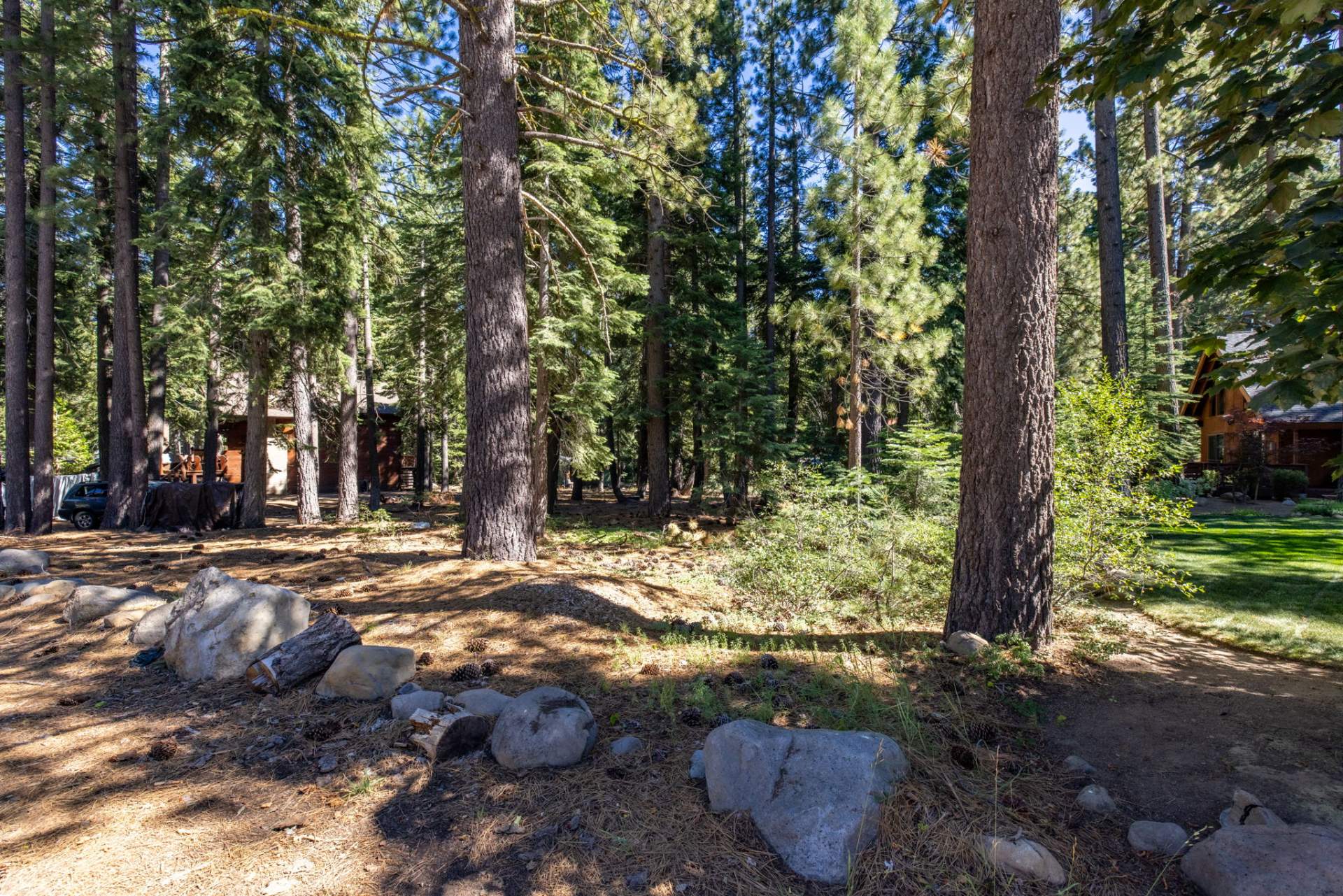 40-web-or-mls-335-Pineland-