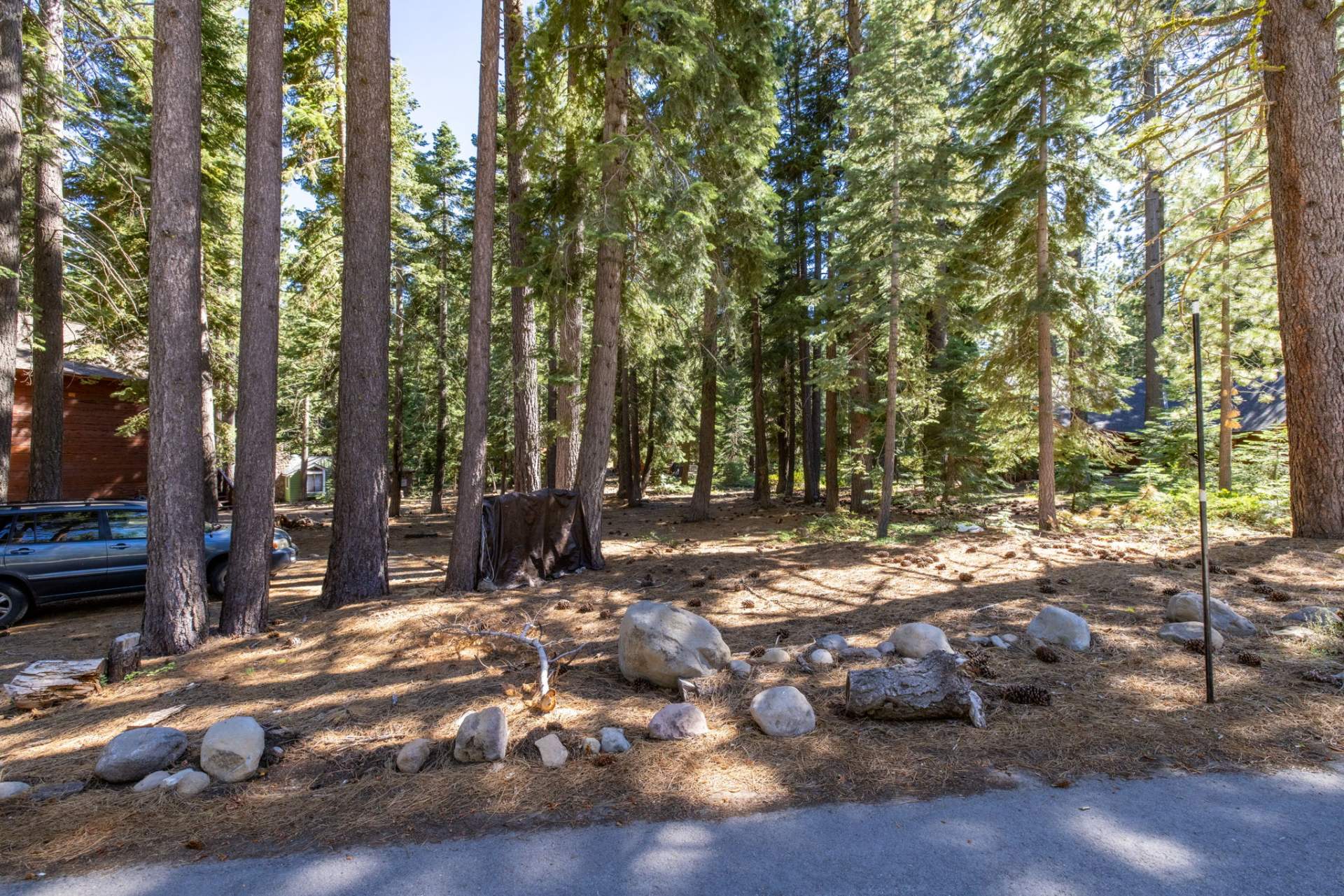 5-web-or-mls-335-Pineland-6