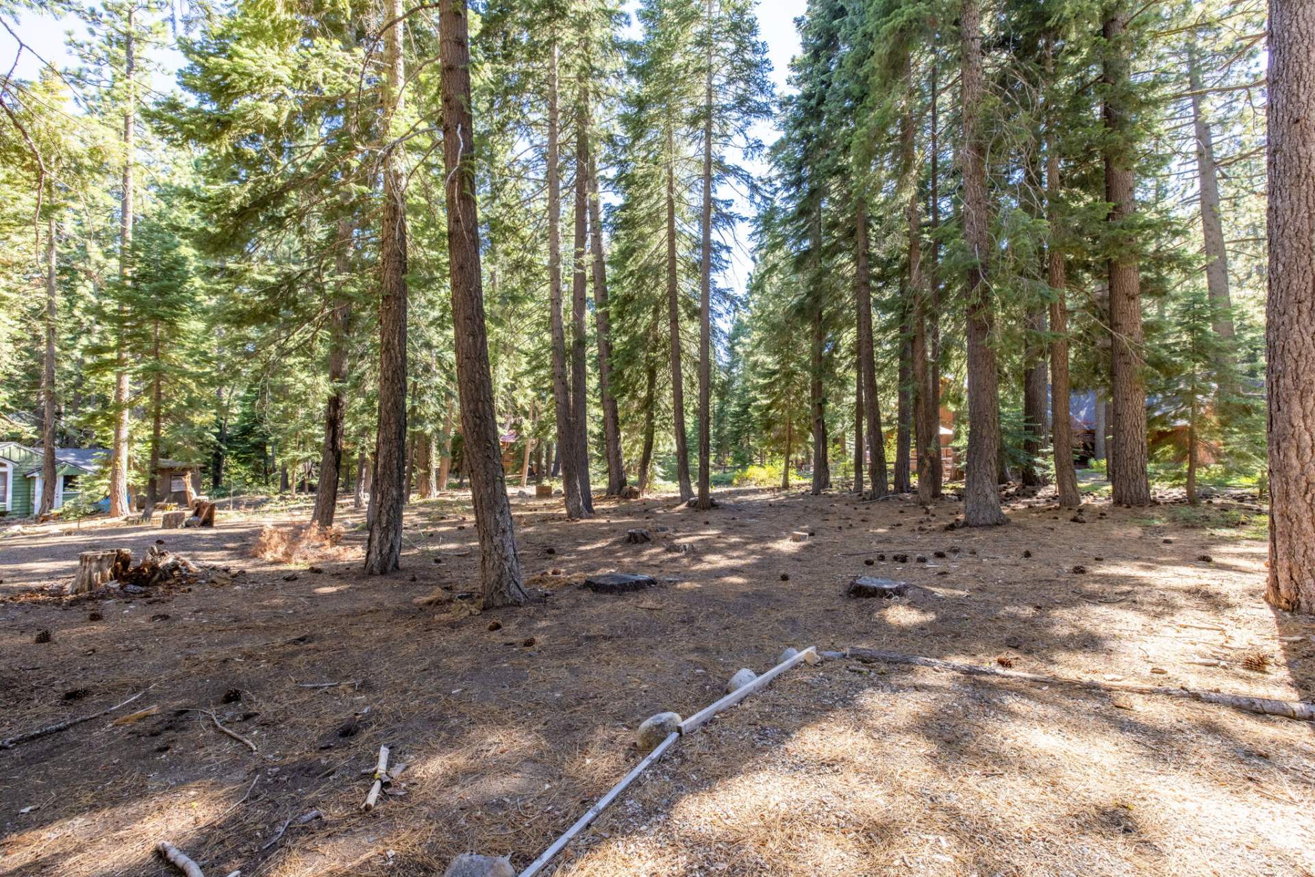 6-web-or-mls-335-Pineland-7