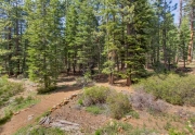 Forested Land backing to home