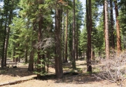 Lake Tahoe Land for Sale