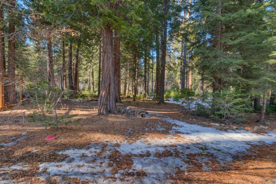 CA Conservancy Land in Lake Tahoe
