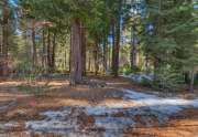 CA Conservancy Land in Lake Tahoe