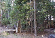 Tahoe Cedars Lot for sale