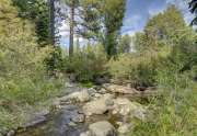 Alpine Meadows Real Estate | 1314 Mineral Springs Trail Bear Creek