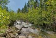 Alpine Meadows Cabin for Sale | 1314 Mineral Springs Trail Creek View