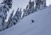 Alpine Meadows Powder Skiing - Lake Tahoe
