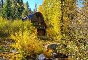 Alpine Meadows Autumn Foliage