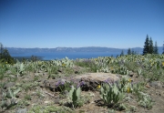 View of Tahoe from Lakeview in Alpine Meadows