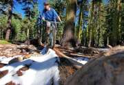 Dave Westall Riding his Mountain Bike in Tahoe City