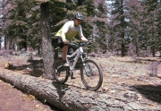 Dave Westall Riding a Log