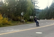 Lake Tahoe Realtor Dave Westall longboarding