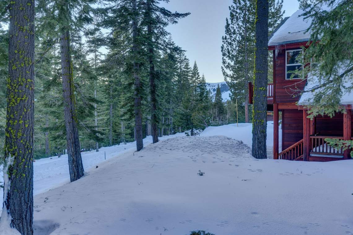 Beautiful forest views | Tahoe City Ski Chalet