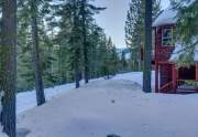 Beautiful forest views | Tahoe City Ski Chalet