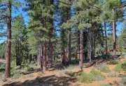 Truckee Lot for sale