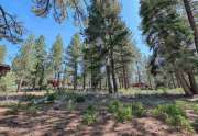 10769 Labelle Ct. | TGray's Crossing Lot