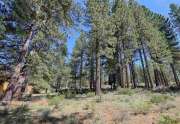 10769 Labelle Ct. | TGray's Crossing Lot