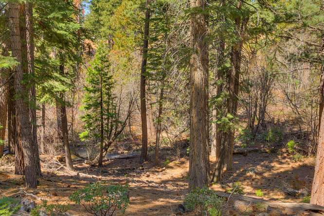 Lake Tahoe Home for Sale | 1330 Canterbury Drive | Exterior