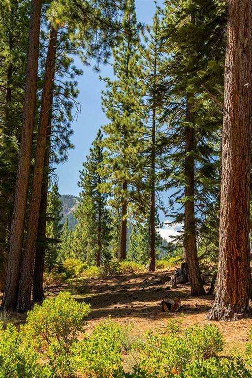 Views from the homesite | 12356 Garwood Dean