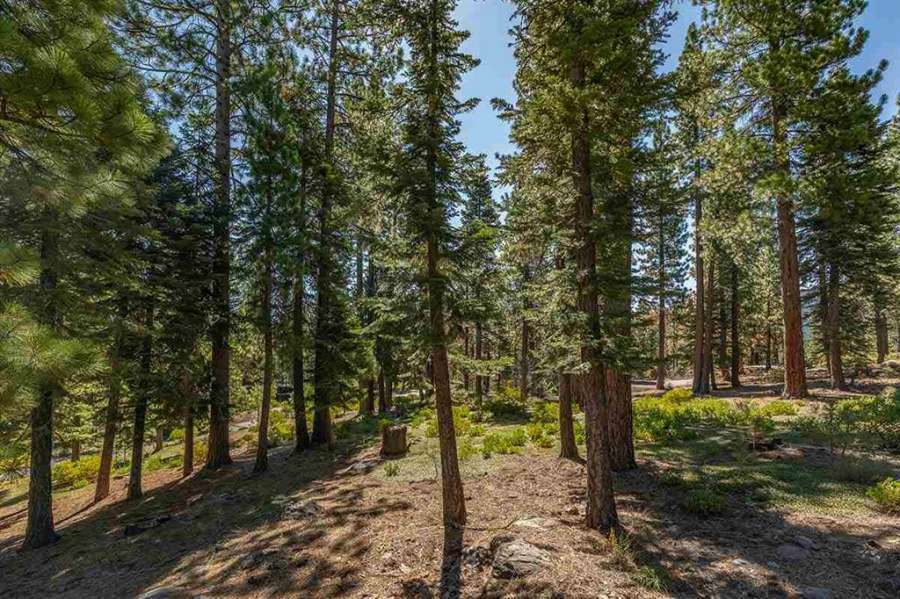 Lahontan Homesite | 12356 Garwood Dean