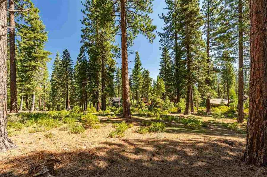 Lahontan Homesite | 12356 Garwood Dean